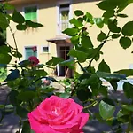 Balaton Panzió 3*