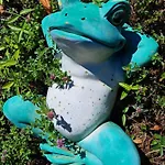 Panzió Balaton Panzió 3*