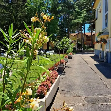Balaton Panzio Отель типа 