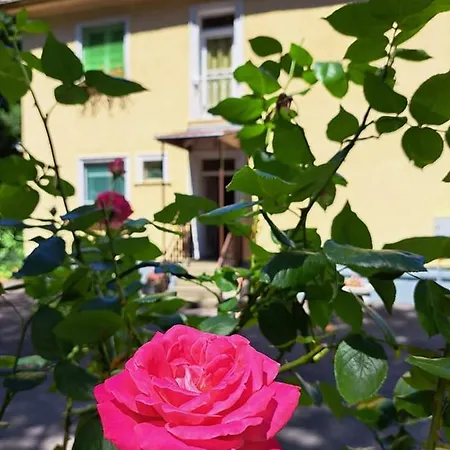 Balaton Panzio 3*