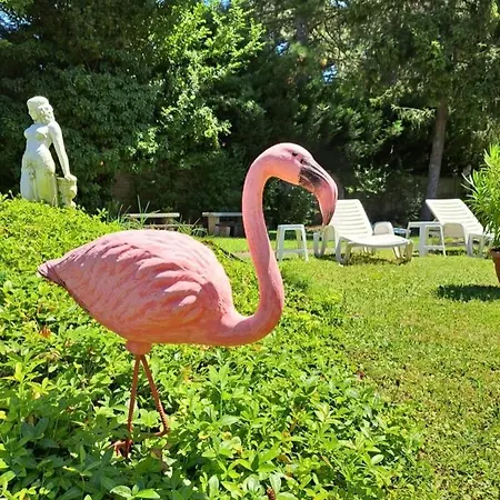 Balaton Panzio Bed and Breakfast 3*
