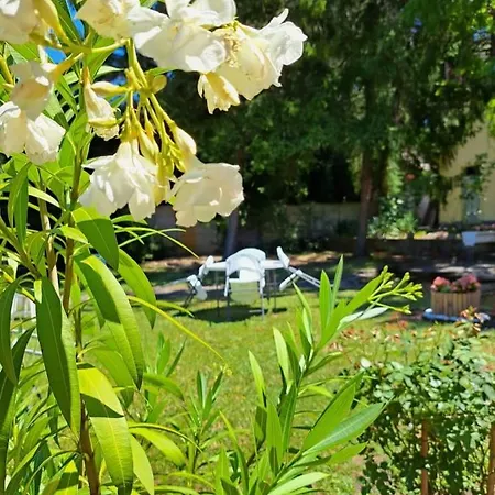 Balaton Panzio Bed and Breakfast