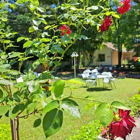Bed and Breakfast Balaton Panzio Σίοφοκ