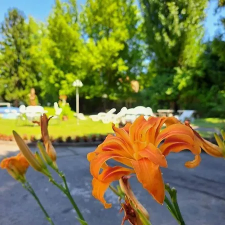 Balaton Panzio B&B 시오포크