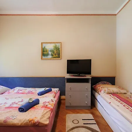 Balaton Panzio ベッド・アンド・ブレックファスト シオーフォク