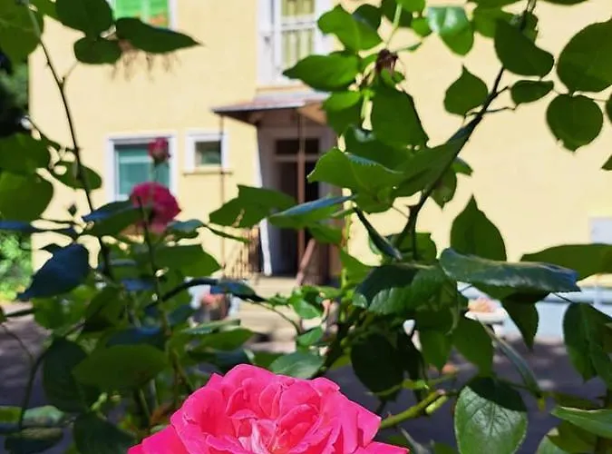 Balaton Panzio 3*
