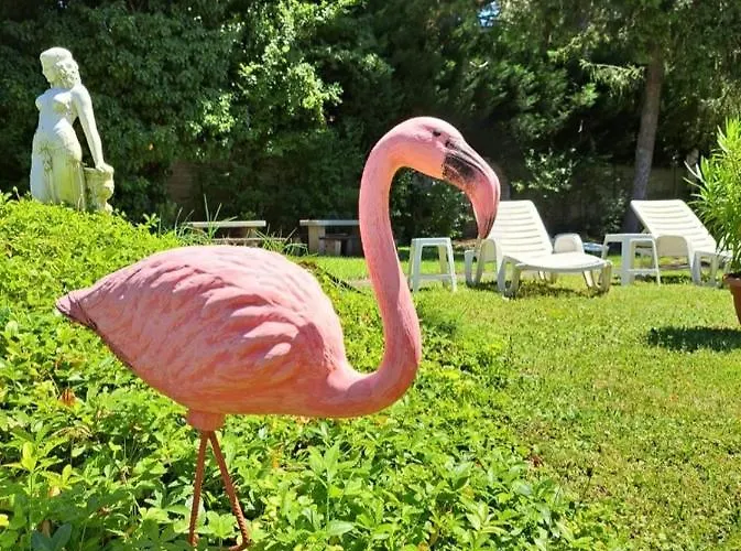 Balaton Panzio Nocleg ze śniadaniem 3*