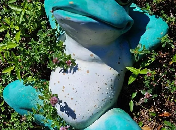 Nocleg ze śniadaniem Balaton Panzio 3*