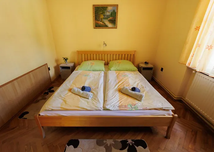 Balaton Panzio 3*